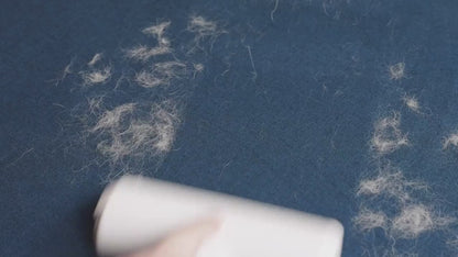 Manual Pet Lint Remover with Detachable Roller - Heavy-Duty Plastic Construction, Multi-Surface Fur Remover for Dogs, Cats, Furniture, Sofa, Carpet